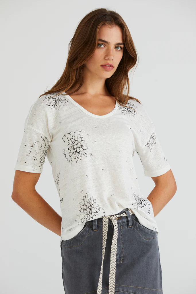 Lania aster top